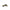 Cerruti 1881 Black Calfskin Women Sandal