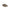 Cerruti 1881 Beige Cowhide Women Sneaker