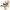 Dolce & Gabbana Gold Brass Pink Clear Crystal Bow Fiocchi Christmas
