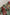 Dolce & Gabbana Green Floral Long Sleeve V-neck Midi Dress