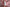 Dolce & Gabbana Pink A-line Flare Viscose Short Sleeves Dress
