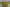 Dolce & Gabbana Yellow Shift A-line Silk Gown Dress