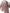 Dolce & Gabbana Pink Turkey Feather Embellished Sandals Shoes