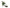 Dolce & Gabbana Acid Green Leather Strappy Flower Heels Sandals Shoes