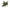 Dolce & Gabbana Acid Green Leather Strappy Flower Heels Sandals Shoes