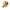 Dolce & Gabbana Yellow Butterfly Applique Sandals Shoes