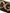 Dolce & Gabbana Brown Python Leather DG Girls Crossbody Phone Bag