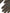 Dolce & Gabbana Brown Cotton Stretch Wrist Length Gloves