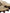 Dolce & Gabbana Beige Acrylic Knitted Fur Wrist Mitten Gloves