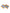 Dolce & Gabbana Multicolor Prince Royals Wool Wristband