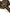 Dolce & Gabbana Brown Deer Faux Fur Whole Head Hat