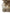 Dolce & Gabbana Brown Owl Faux Fur Whole Head Cap Hat