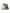 Dolce & Gabbana Multicolor Acrylic Fur Women Bucket Hat