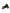 Dolce & Gabbana Black Crystal Button Brown Hair Women Headband Diadem