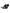 Dolce & Gabbana Black Crystal Button Brown Hair Women Headband Diadem