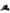 Dolce & Gabbana Black Leather Oxford Wingtip Formal Men Shoes