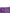 BENCIVENGA Purple Cotton MidWaist Straight Cropped Pants
