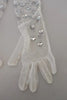 Dolce & Gabbana White Crystal Elbow Length Cotton Tulle Gloves