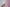 Dolce & Gabbana Pink Silk Gold Frame Clutch Evening Party Purse Bag