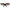 Emilio Pucci Brown Women Sunglasses