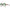 Scotch & Soda Brown Women Sunglasses