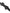 Dolce & Gabbana Black Silk Patterned Adjustable Neck Men Papillon Bow Tie