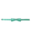Dolce & Gabbana Mint Green Silk Adjustable Neck Men Bow Tie
