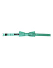 Dolce & Gabbana Mint Green Silk Adjustable Neck Men Bow Tie