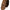 Dolce & Gabbana Brown Floral 100% Silk Adjustable Men Tie