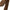 Dolce & Gabbana Brown Floral 100% Silk Adjustable Men Tie