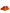 Dolce & Gabbana Orange Airmaster Low Top Men Sneakers Shoes