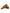 Dolce & Gabbana Brown Velvet Leather Logo Mocassin Slip On Shoes