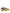 Dolce & Gabbana Yellow Sorrento Crystals Sneakers Womens Shoes