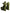 Dolce & Gabbana Green Exotic Leather Ankle Strap Heels Sandals Shoes