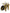 Dolce & Gabbana Yellow Exotic Leather Ankle Strap Heels Sandals Shoes