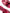 Dolce & Gabbana Pink Python Leather Kitten Heels Slides Shoes