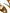 Dolce & Gabbana Gold Bette Leather Heels Sandals Shoes