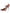 Dolce & Gabbana Brown Mesh Viscose Ankle Strap Pumps Shoes