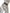 Dolce & Gabbana Off White 100% Silk Adjustable Necktie Men Tie