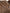 Dolce & Gabbana Brown Cashmere Knit V-neck Pullover Sweater