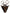 Dolce & Gabbana Brown Leopard Print Swimsuit Swimwear Bikini Bottom