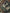 Dolce & Gabbana Multicolor Camouflage Cargo Pants