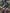 Dolce & Gabbana Multicolor Camouflage Mid Waist A-line Skirt