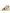 Dolce & Gabbana Gold Leather Crystal Gladiator Sandals Flats Shoes