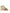 Dolce & Gabbana Gold Leather Crystal Gladiator Sandals Flats Shoes
