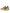 Dolce & Gabbana Yellow Sorrento Crystals Low Top Sneakers Shoes