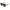 Jimmy Choo Brown Haircalf Sunglasses
