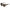 Jimmy Choo Brown Haircalf Sunglasses
