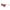 Jimmy Choo Red Metal Sunglasses