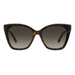 Jimmy Choo Brown Haircalf Sunglasses